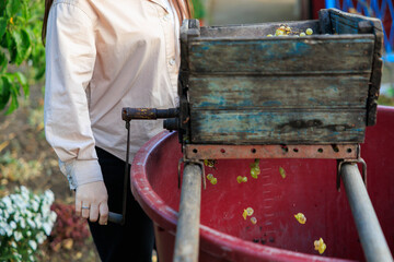A woman works with a crusher in the production of farm wine. Background with selective focus