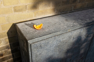 Slice of orange citrus fruit and soft tropical sunlight