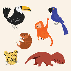 Obraz na płótnie Canvas brazilian tropical animals 
