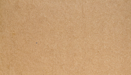 Fototapeta na wymiar brown paper sheet texture background with fibers for wallpaper design