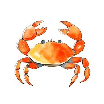 Colorful Watercolor Crab Illustration