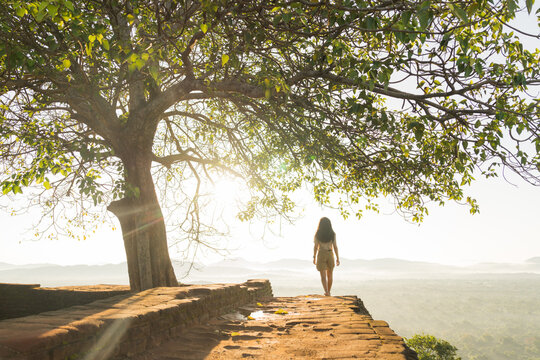 Shot of a woman standing under a tree during sunset