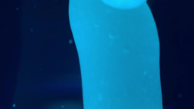 Close up abstract macro shots of blue lava lamp background