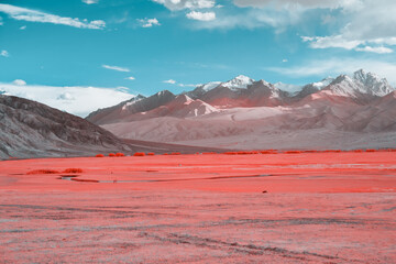 Infrared photo of Lush Meadow at Mountain Base