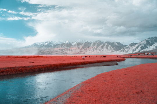 Infrared Photography of Pastoral Landscape with Snow-Capped Mountains