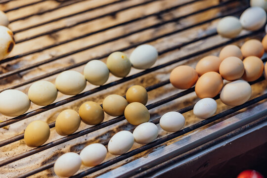 Variety of Eggs on a Grill