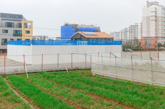 Farms next to apartments and houses.