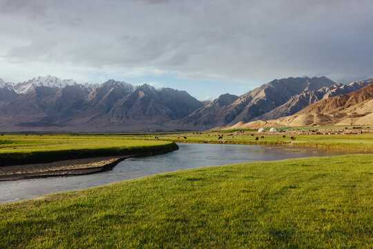 Rustic Mountain Valley with Grazing Cattle and Flowing River