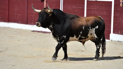 Zelfklevend Fotobehang a serious bull in the spanish spectacle of bullfight © alberto