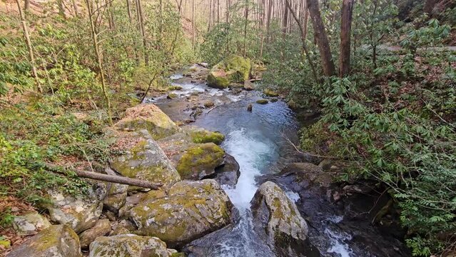 tilt footage of the rushing waters of Smith Creek with rocks and lush green trees and plants at Anna Ruby Falls in Helen Georgia USA
