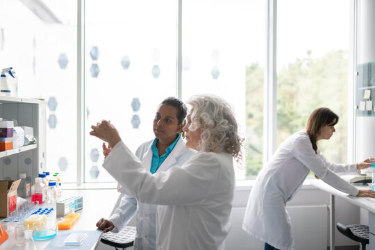 Researchers Working In Lab