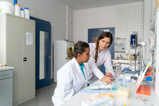 Usual Work Day In Modern Laboratory
