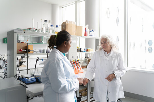 Scientists Conversation In Laboratory
