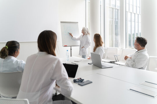 Meeting Of Scientists In Modern Conference Room