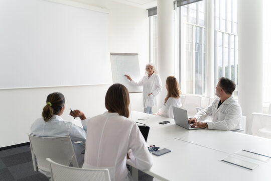 Meeting Of Researchers In Modern Conference Room