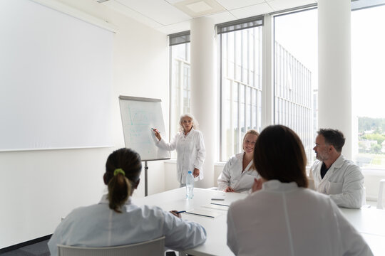Medical Consultation In Bright Conference Room