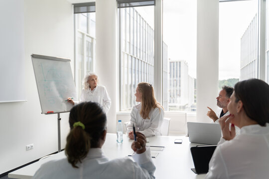 Scientists Consultation In Bright Conference Room