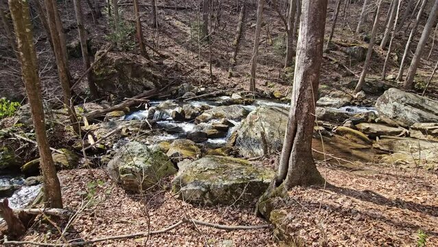 panning footage of the rushing waters of Smith Creek with rocks and lush green trees and plants at Anna Ruby Falls in Helen Georgia USA