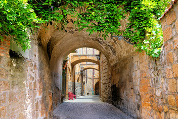 Beautiful arched street covered with vines in the medieval old town of Orvieto, Umbria, Italy