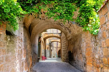 Fotobehang Smal steegje Beautiful arched street covered with vines in the medieval old town of Orvieto, Umbria, Italy