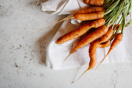 Freshly dug homegrown and irregular carrots
