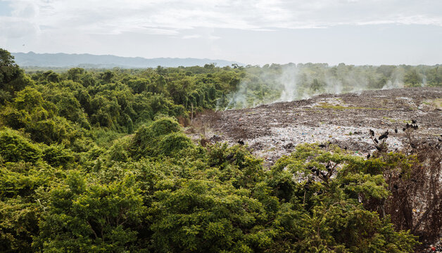 cleared rainforest filled with trash