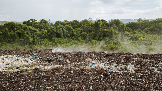 burning rubbish dump in forest