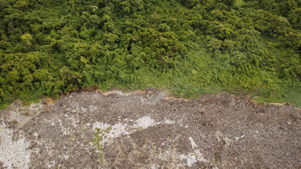 rainforest borders trash dump