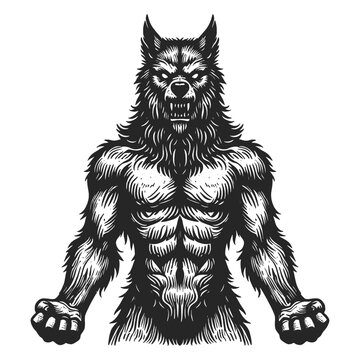 majestic werewolf sketch engraving generative ai vector illustration. Scratch board imitation. Black and white image.