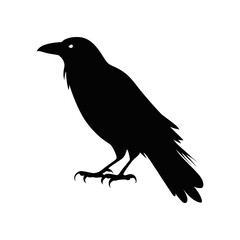 Obraz premium black crow with good quality and design