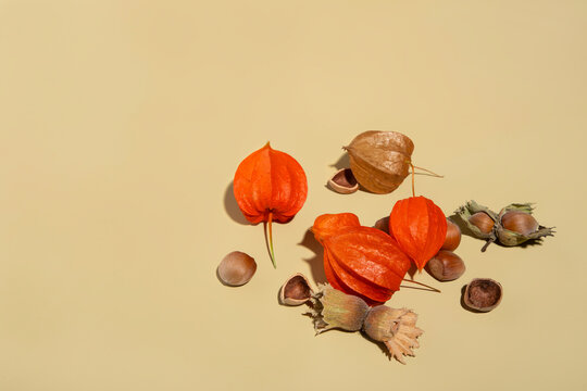 Autumn floral composition