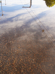 Power Lines Reflected In A Puddle Of Water