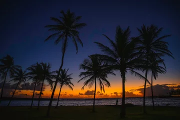Photo sur Plexiglas Atlantic Ocean Road Palm Trees along the curving beach trail at Sunrise in San Juan, Puerto Rico, Tranquil seascape on La Poza del Escambrón Beach over Condado Shore