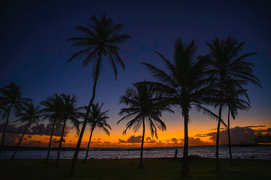 Palm Trees along the curving beach trail at Sunrise in San Juan, Puerto Rico, Tranquil seascape on La Poza del Escambrón Beach over Condado Shore