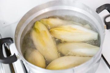 Belgian witloof vegetable is cooked in a saucepan on the stove.