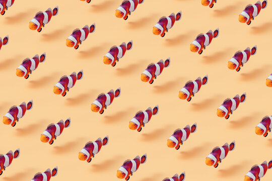 Tropical fish