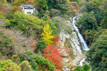 秋の観音の滝　佐賀県唐津市　Autumn Kannon Falls. Saga Pref, Karatsu City.