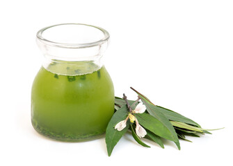 Justicia gendarussa Burm.f. branch flowers and extracted with leaves and water isolated on white background.