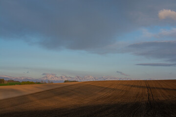 残雪山並みと春の畑
