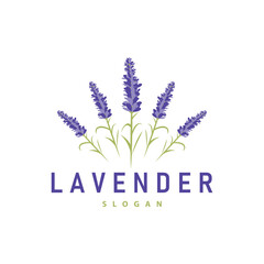 Lavender Logo Elegant Purple Flower Plant Illustration Floral Ornament Design