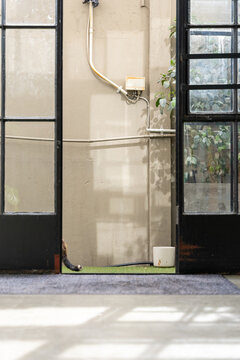 window light reflecting through large glass doors with a tail in sight