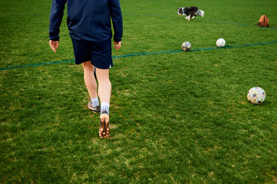 Soccer training man with dog alone on the field