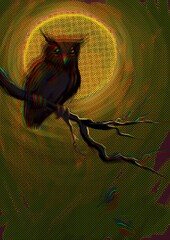 Spooky owl out of its place