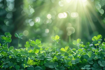 Foto auf Alu-Dibond green clover leaves on a summer landscape background. Generative AI © Anthony Paz