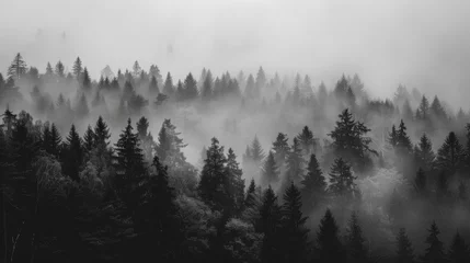 Cercles muraux Forêt dans le brouillard Misty forest landscape in shades of grey and black