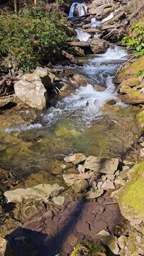 tilt footage of the rushing waters of Smith Creek and waterfall at Anna Ruby Falls with rocks and lush green trees and plants in Helen Georgia USA