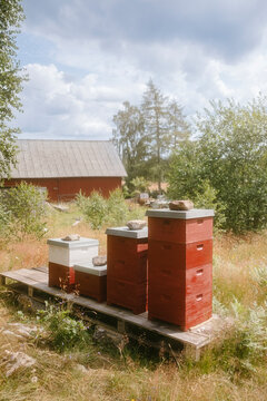 Beehive 