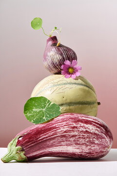 still life with eggplant, melon, flowers and garlic