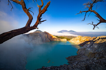 Deadwood Leafless Tree with Turquoise Water Lake,Beautiful nature Landscape mountain and green lake at Kawah Ijen volcano,East Java, Indonesia
