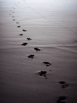 A line of footprints in the sand. 